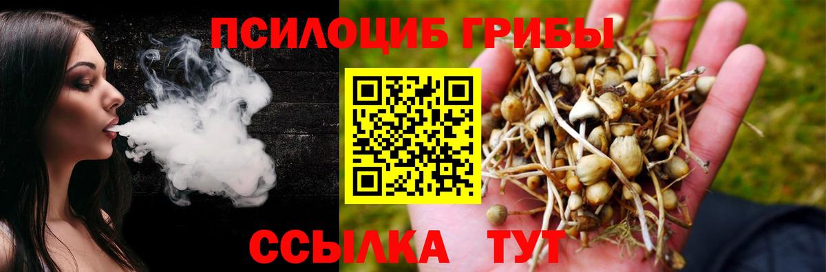 Узловая  Галлюциногенные грибы Psilocybe  Вход с VPN 